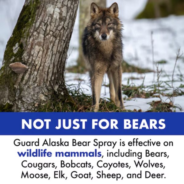Guard Alaska Bear Spray Repellent - Image 8